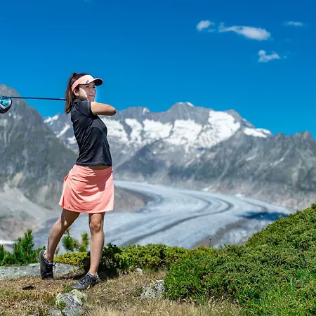 Apartment Alpenresort B22 Riederalp